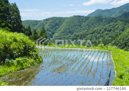 鳥取縣若狹町若狹山梯田插秧後的風景 鳥取縣若狹町若狹山梯田插秧後的風景 127746180