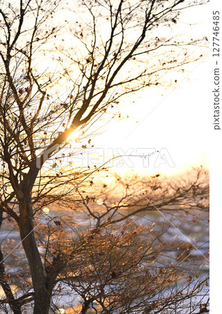 滋賀縣安土城遺址的冬日景色 127746485