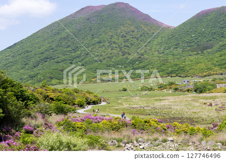 Spring scenery of Mount Heiji with blooming Miyamakirishi and Bougatsuru Marsh 127746496