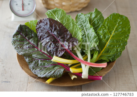 Swiss Chard 127746783