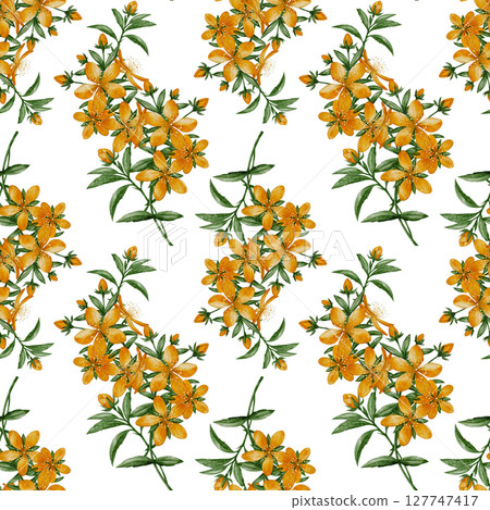 Seamless pattern with St. Johns wort flowers 127747417