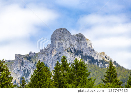 Saugling Saeugling round mountain and alpine hill peak Tyrol Austria. 127747485