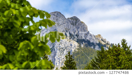 Saeugling round mountain and alpine hill peak Tyrol Austria. Saeugling round mountain and alpine hill peak Tyrol Austria. 127747486