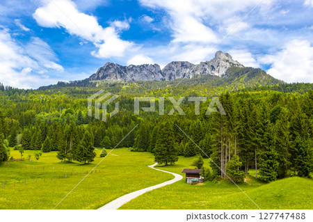 Saeugling round mountain and alpine hill peak Tyrol Austria. Saeugling round mountain and alpine hill peak Tyrol Austria. 127747488