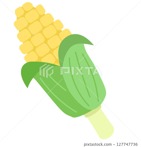 Corn with leaves, summer vegetables, vector illustration Corn with leaves, summer vegetables, vector illustration 127747736