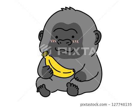 可愛的大猩猩得到一根香蕉 127748135