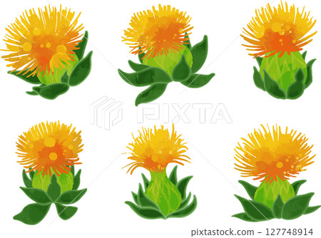 紅花插圖素材(向量轉換) 紅花插圖素材(向量轉換) 127748914