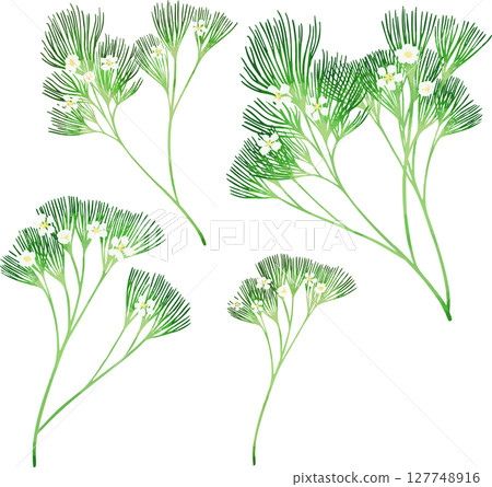 梅花的插圖素材（向量轉換） 127748916