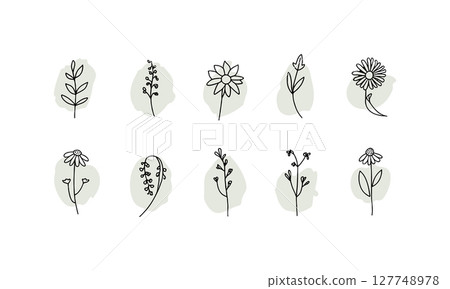 Elegant Floral Medallions. A delicate set of six hand-drawn flowers placed in soft oval shapes, ideal for boho branding, stationery, or organic product packaging. Elegant Floral Medallions. A delicate set of six hand-drawn flowers placed in soft oval shapes, ideal for boho branding, stationery, or organic product packaging. 127748978