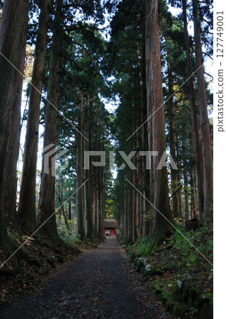 A large cedar-lined approach to the inner shrine of Togakushi jinja shrine 127749001