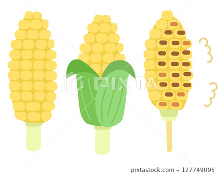 Set of corn and grilled corn, summer vegetables, vector illustration 127749095