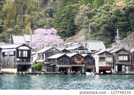 京都府伊根町的春天：櫻花盛開，船屋 127749138
