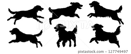 Golden retriever in different poses. Jumping, running, playing. Dog breed silhouette 127749497