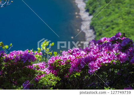 從碧綠的大波池眺望唐國岳 從碧綠的大波池眺望唐國岳 127749739