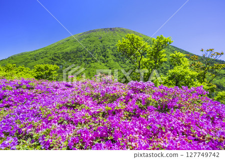 View of Mt. Karakunidake from the deep green of Onami Pond 127749742