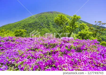 View of Mt. Karakunidake from the deep green of Onami Pond 127749743