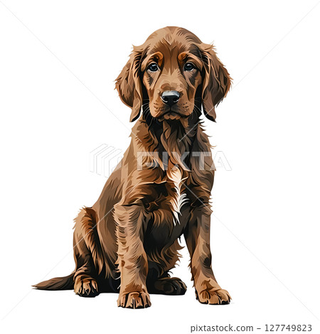 愛爾蘭塞特犬小狗的剪貼畫插圖 127749823