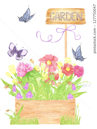Hand drawn watercolor wildflowers and leaves in a box. Palisade composition isolated on white background. Can be used for postcard, label, scrapbook and other printed products. Hand drawn watercolor wildflowers and leaves in a box. Palisade composition isolated on white background. Can be used for postcard, label, scrapbook and other printed products. 127750047
