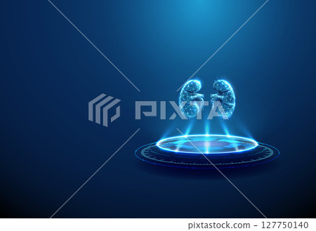 Human kidneys on futuristic podium. Nephrology, kidney disease diagnostics, renal treatment, artificial organ technology concept. 127750140