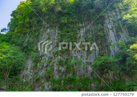 （宮崎縣）高千穗峽：從步道看到的柱狀節理 127750179