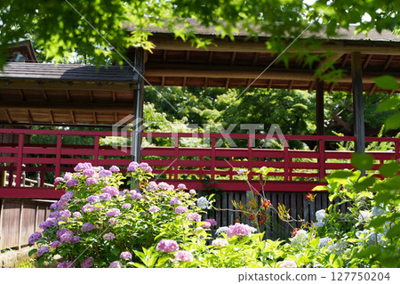 充滿自然氣息的作品,讓人感受到夏天的氣息 充滿自然氣息的作品,讓人感受到夏天的氣息 127750204