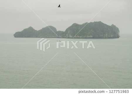Lan Ha Bay. 127751983