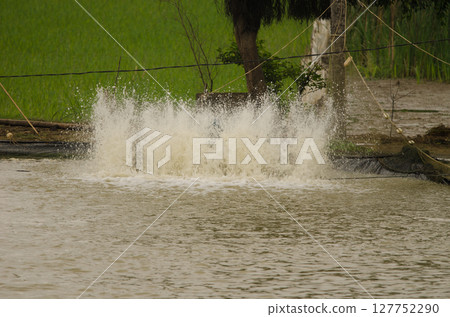 Turbulence in the water of a pond. Turbulence in the water of a pond. 127752290