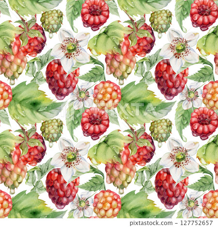 Raspberry cloudberry mulberry ripe garden berries, flowers in water dew drops hand drawn in watercolor. Seamless isolated pattern tile. Home preserves, textile linens, food store decor, packaging Raspberry cloudberry mulberry ripe garden berries, flowers in water dew drops hand drawn in watercolor. Seamless isolated pattern tile. Home preserves, textile linens, food store decor, packaging 127752657