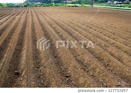 Red soil field furrows Red soil field furrows 127752857