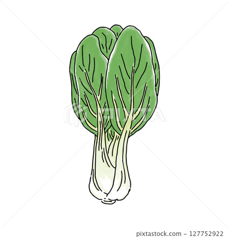 Bok choy watercolor style 127752922