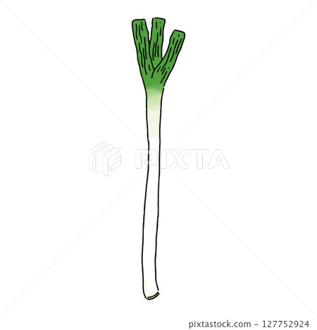 Spring onion, watercolor style Spring onion, watercolor style 127752924