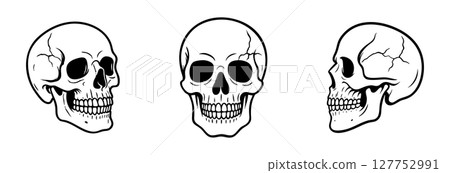Human Skulls set in different angles isolated on white background, graphic illustration in black outline. concept of anatomy, human bone structure, science, Halloween decor, design element, sketch 127752991