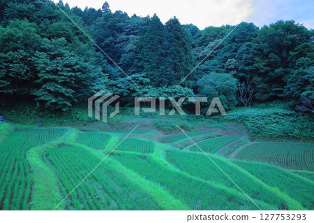 Firefly Village: Ishihata Rice Terraces, Mogi Town, Tochigi Prefecture Firefly Village: Ishihata Rice Terraces, Mogi Town, Tochigi Prefecture 127753293