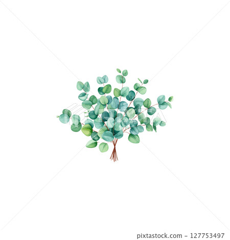 Watercolor leaves on white background 127753497
