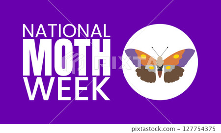 butterfly, vector, bug 127754375