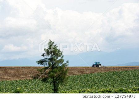 Tractor farm work in summer field Tractor farm work in summer field 127754975
