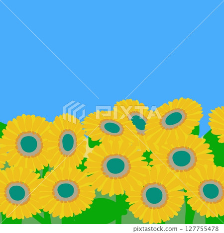 Sunflower and blue sky illustration 127755478