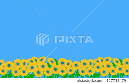 Illustration of a cluster of sunflowers and a blue sky 127755479