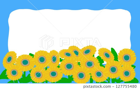 Frame postcard of a cluster of sunflowers and blue sky 127755480