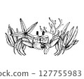 Black and white vector illustration features a lively crab surrounded by sea elements like starfish, coral, and coastal plants. The marine themed composition. Hand drawn graphic sketch. 127755983