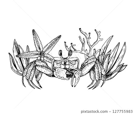 Black and white vector illustration features a lively crab surrounded by sea elements like starfish, coral, and coastal plants. The marine themed composition. Hand drawn graphic sketch. 127755983