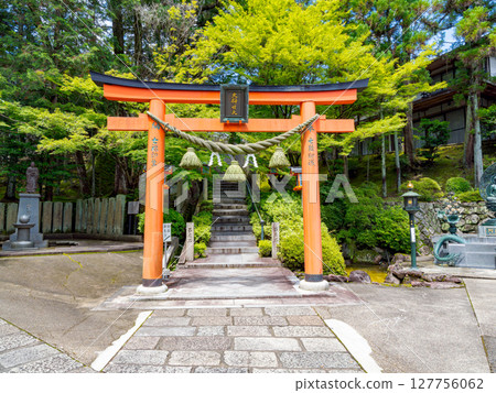 [Nara Prefecture] Reisanji Temple, Nara City (photographed on June 25, 2025) 127756062