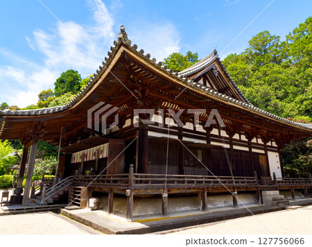 [Nara Prefecture] Reisanji Temple, Nara City (photographed on June 25, 2025) 127756066