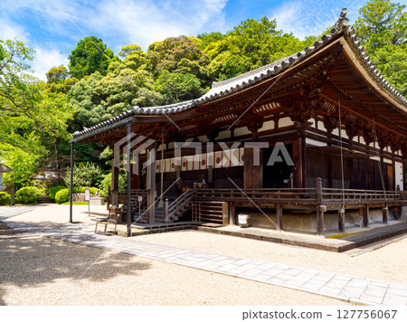 [Nara Prefecture] Reisanji Temple, Nara City (photographed on June 25, 2025) 127756067