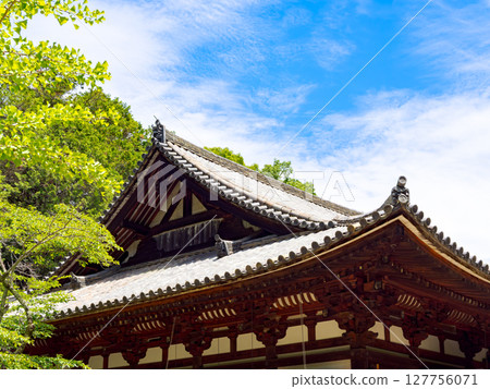 [Nara Prefecture] Reisanji Temple, Nara City (photographed on June 25, 2025) 127756071