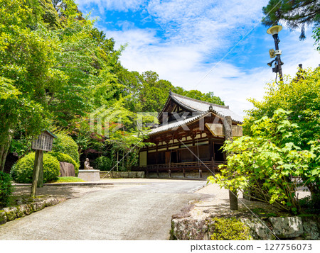 [Nara Prefecture] Reisanji Temple, Nara City (photographed on June 25, 2025) 127756073