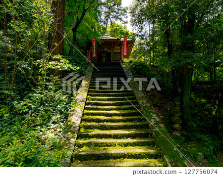 [Nara Prefecture] Reisanji Temple, Nara City (photographed on June 25, 2025) 127756074