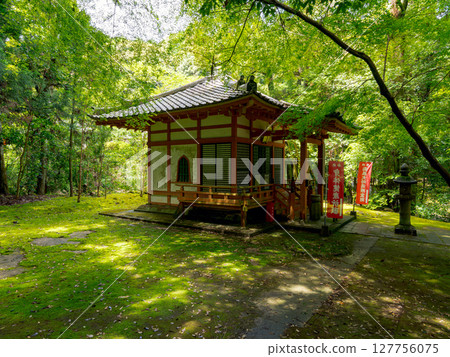 [Nara Prefecture] Reisanji Temple, Nara City (photographed on June 25, 2025) 127756075