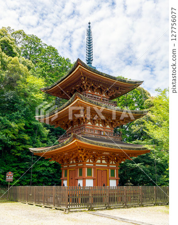 [Nara Prefecture] Reisanji Temple, Nara City (photographed on June 25, 2025) 127756077