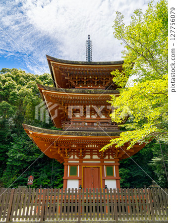 【奈良縣】奈良市靈山寺(2025年6月25日拍攝) 【奈良縣】奈良市靈山寺(2025年6月25日拍攝) 127756079